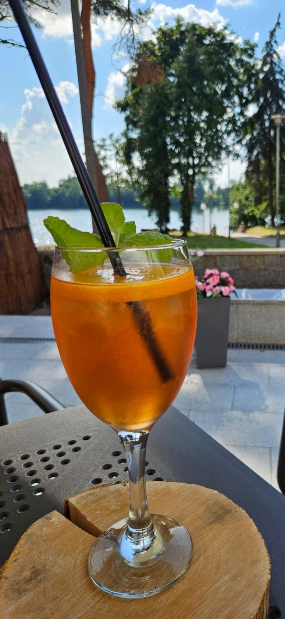 Papaver Hotel Ślesin エクステリア 写真