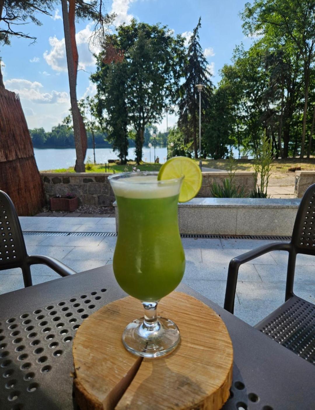 Papaver Hotel Ślesin エクステリア 写真
