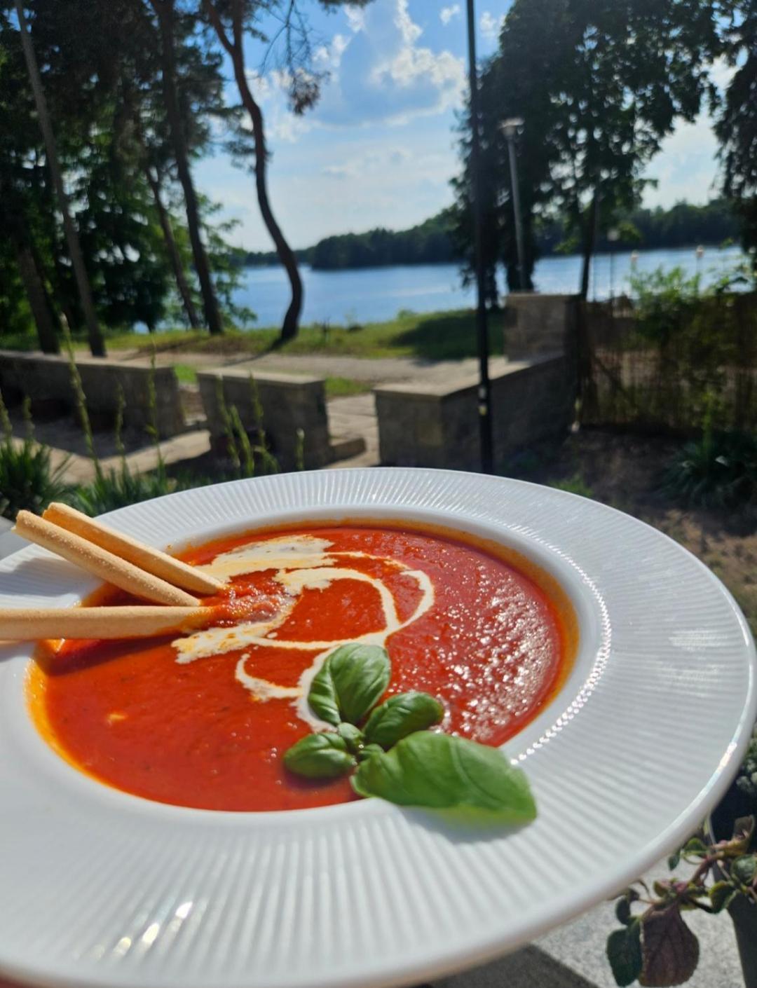 Papaver Hotel Ślesin エクステリア 写真