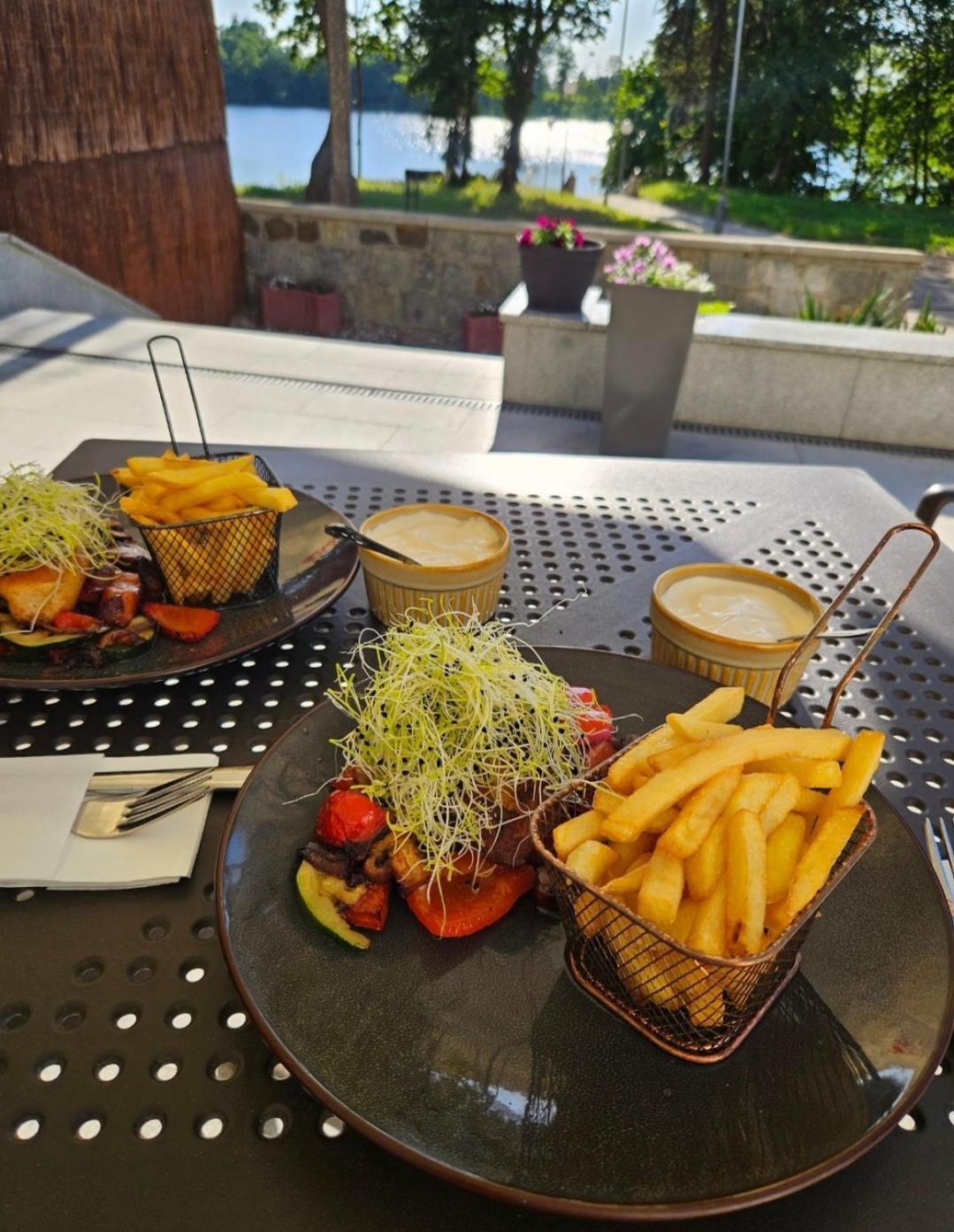 Papaver Hotel Ślesin エクステリア 写真